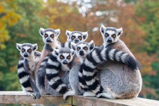 Touristes